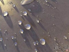 蜜桃在线播放视频蜜桃视频APP在线看混凝土挂板