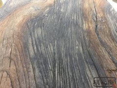 蜜桃在线播放视频水泥仿木纹